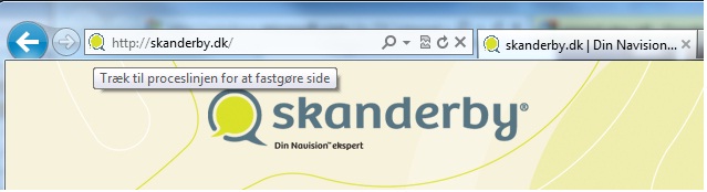 Pinned site på www.skanderby.dk